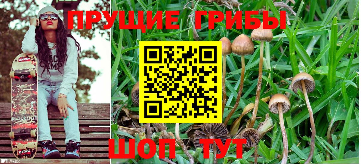 Псилоцибиновые грибы MAGIC MUSHROOMS Пыть-Ях