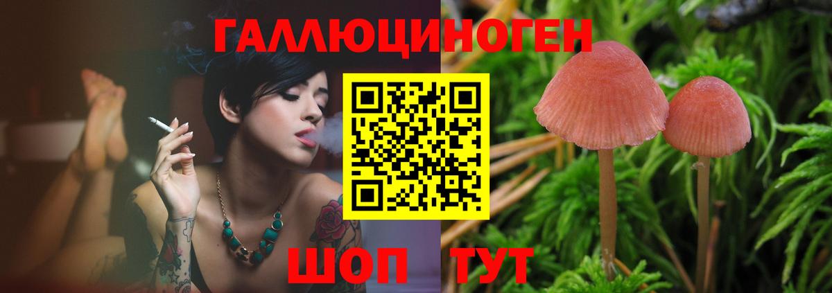 Пыть-Ях  Галлюциногенные грибы Psilocybine cubensis  Вход с VPN 